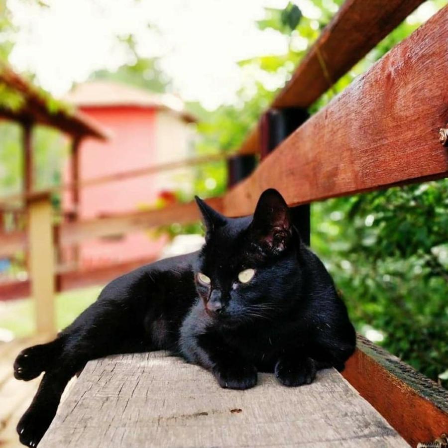 Sitio Pousada Morada Do Sol Кунья Экстерьер фото